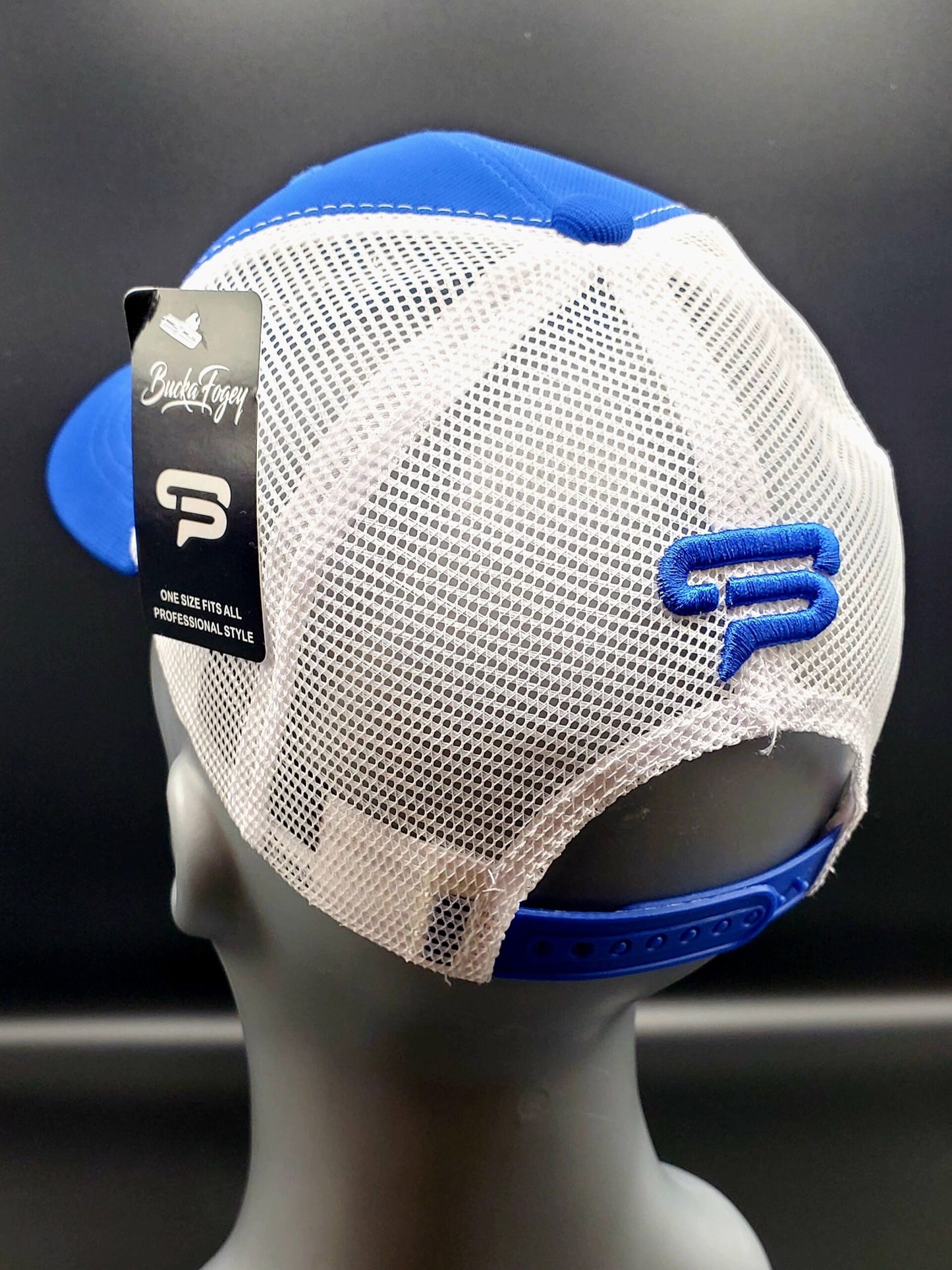 Royalty Blue Classic Snapback image 1