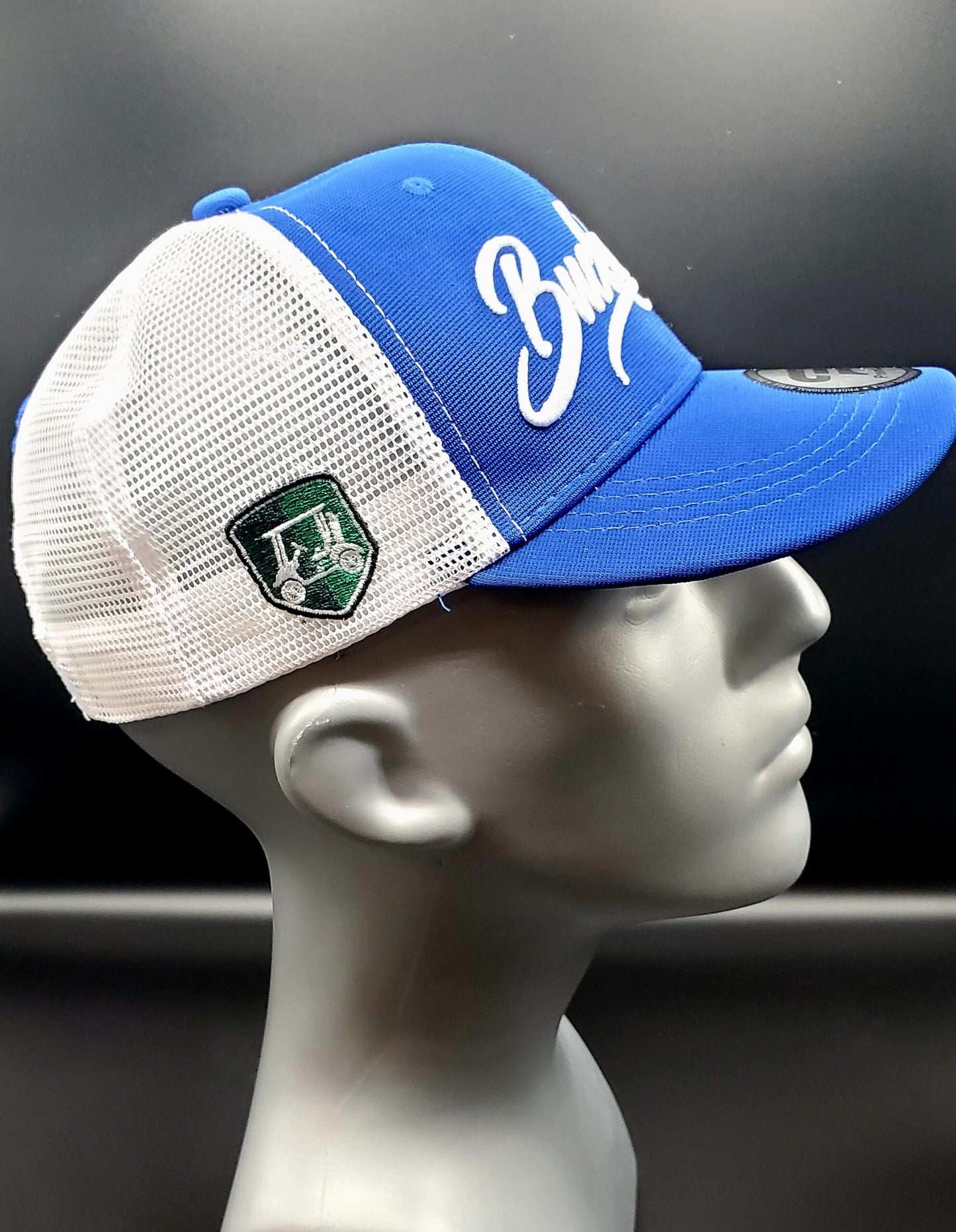 Royalty Blue Classic Snapback image 2