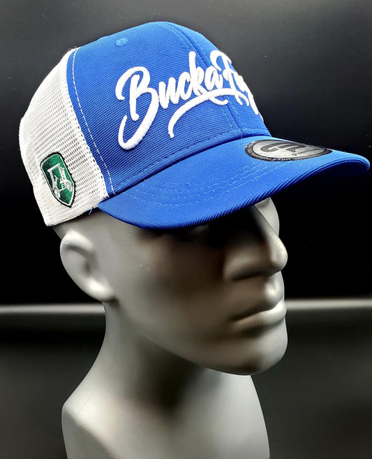 Royalty Blue Classic Snapback image 0